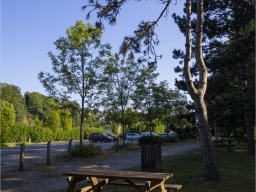 L'aire de pique-nique